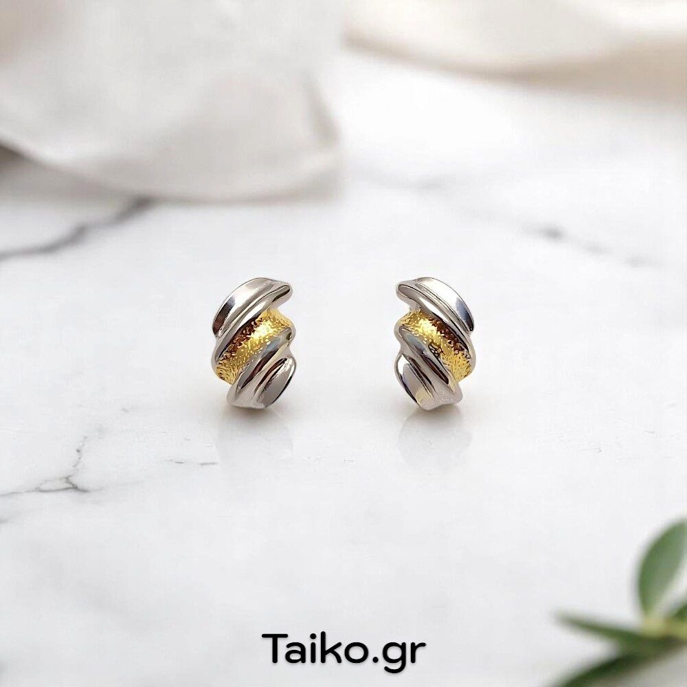 Ατσάλινα σκουλαρίκια δίχρωμα (καρφωτά)