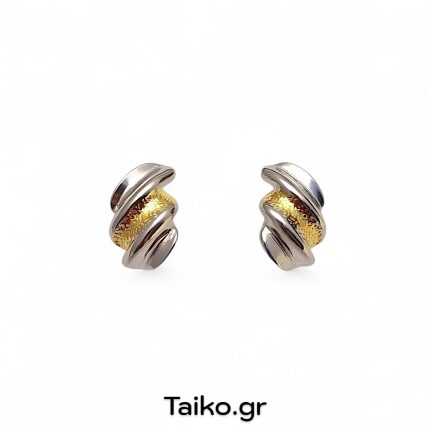 Ατσάλινα σκουλαρίκια δίχρωμα (καρφωτά)